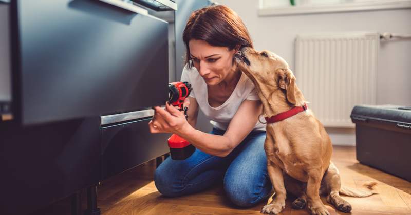 Photo of woman and dog, as woman is repairing a drawer with screwdriver